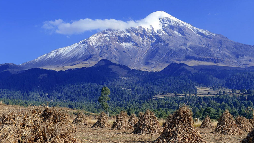 Decaf, naturally: Preserving Flavor with the Mountain Water Process