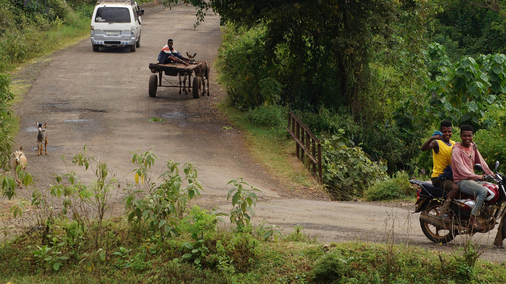 Ethiopian Coffee: Taste, Tradition & Terroir