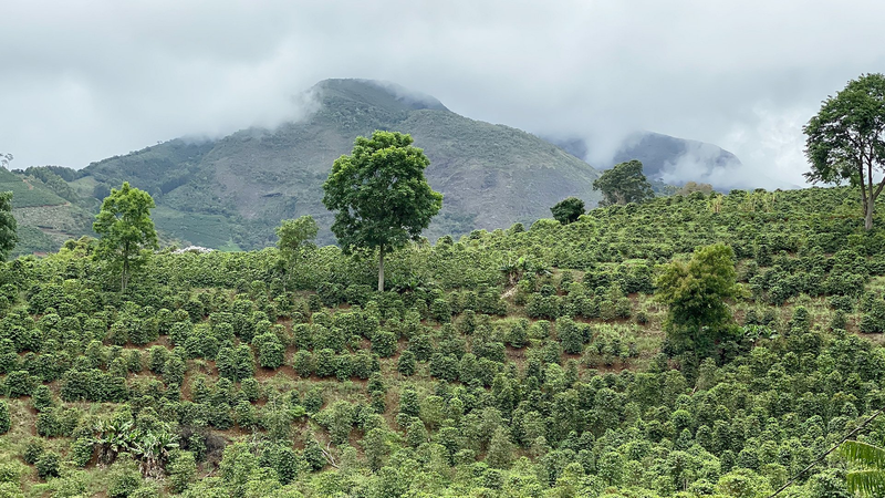 06c5d98cb99e13236eef87635e00f69c985cb550 1