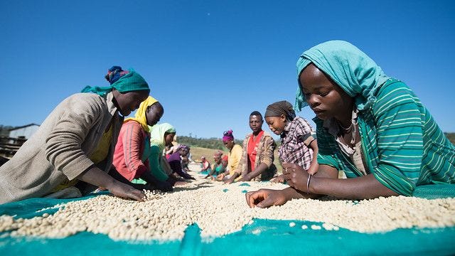 33172237134 a45aed086e z