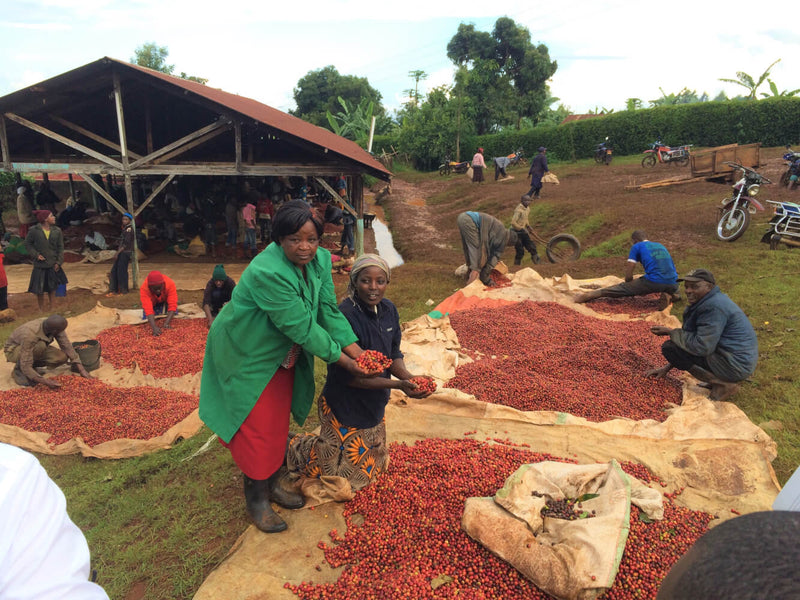 Kenya kii aa 01