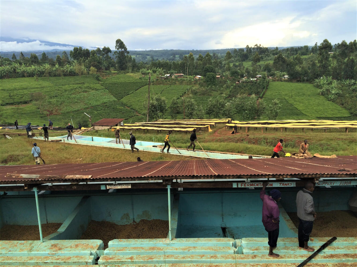 Kenya kii aa 03