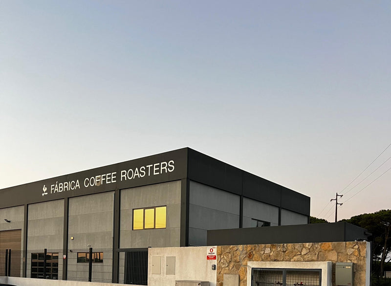 E4598987 5592 4535 a3dc a0f9fa687f3d 2 scaled e1758808082889