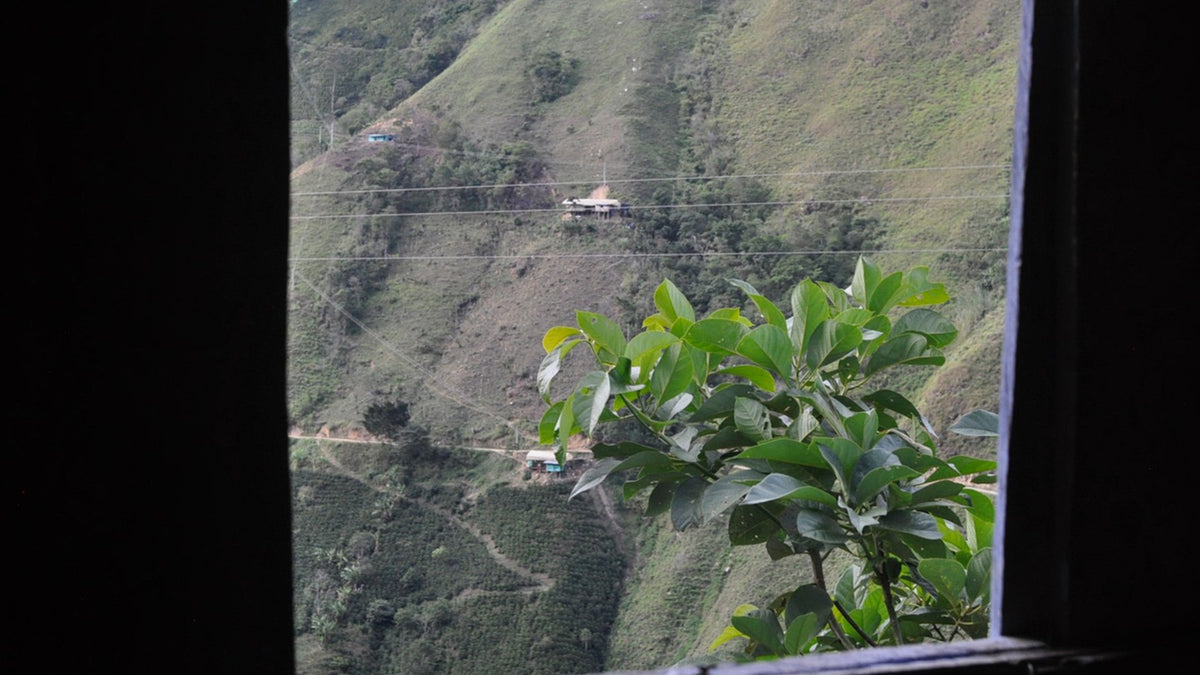 Enrique capera fazenda