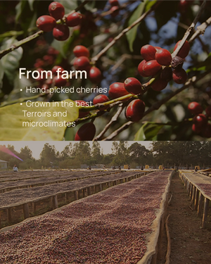 Farm specialty coffee info product