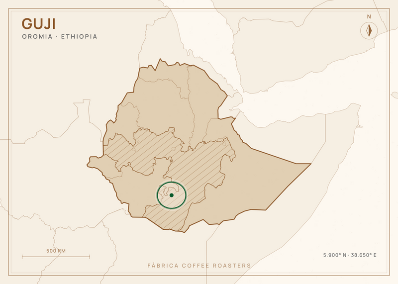 Map of Oromia, Ethiopia, with Guji marked — where this coffee grows