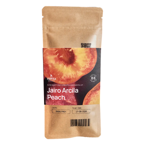 Jairoarcilapeachbag1200x1200300ppi