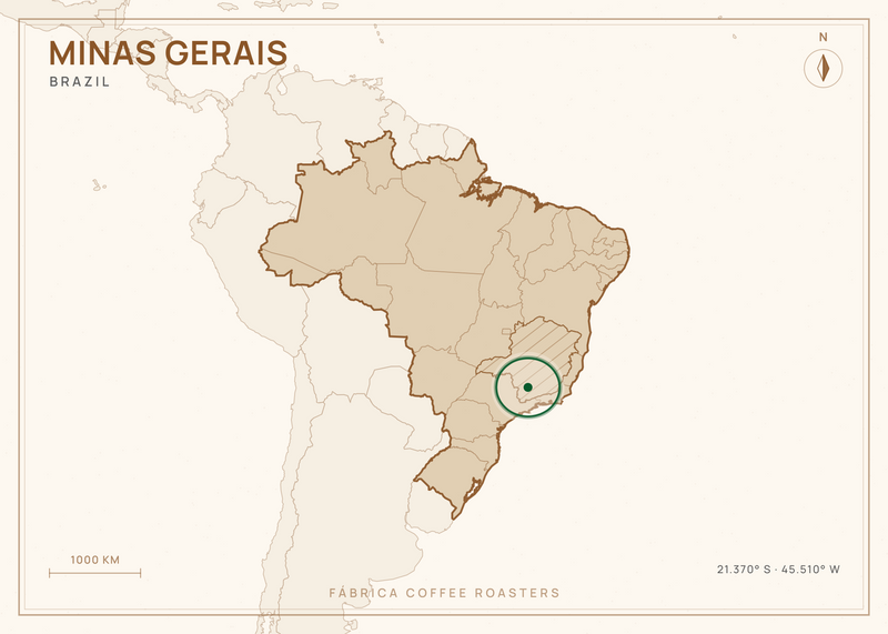 Map of Brazil, with Minas Gerais marked — where this coffee grows