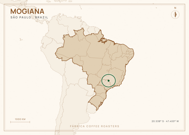 Map of São Paulo, Brazil, with Mogiana marked — where this coffee grows