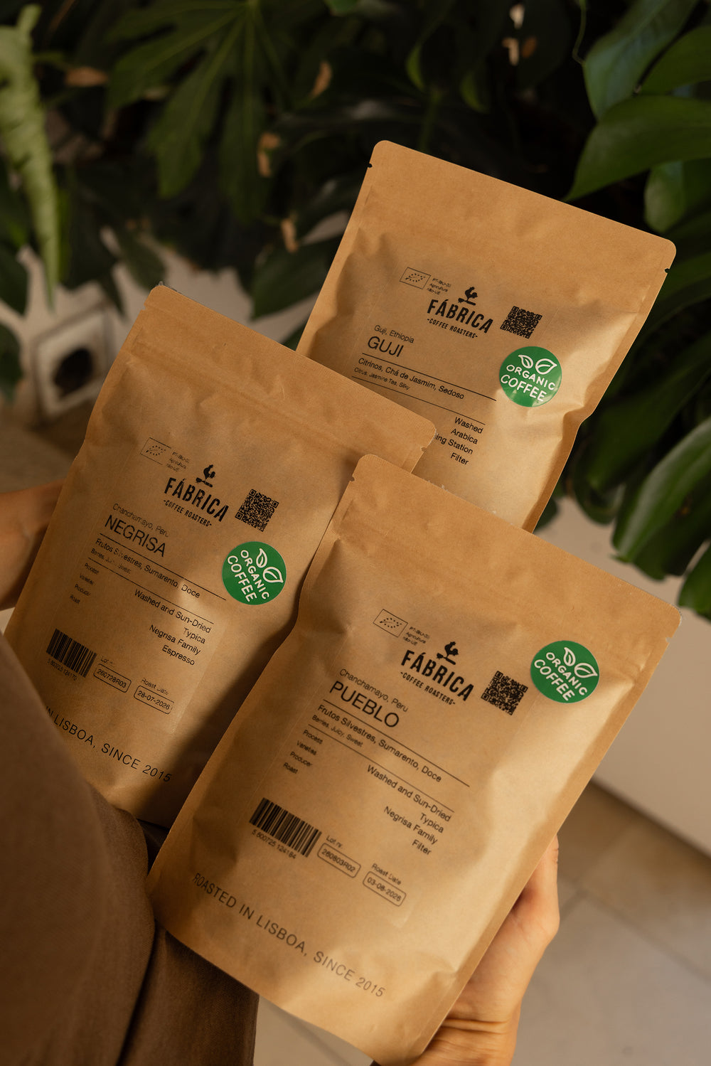 Organic filter coffee bundle fabrica coffee roasters specialty copy
