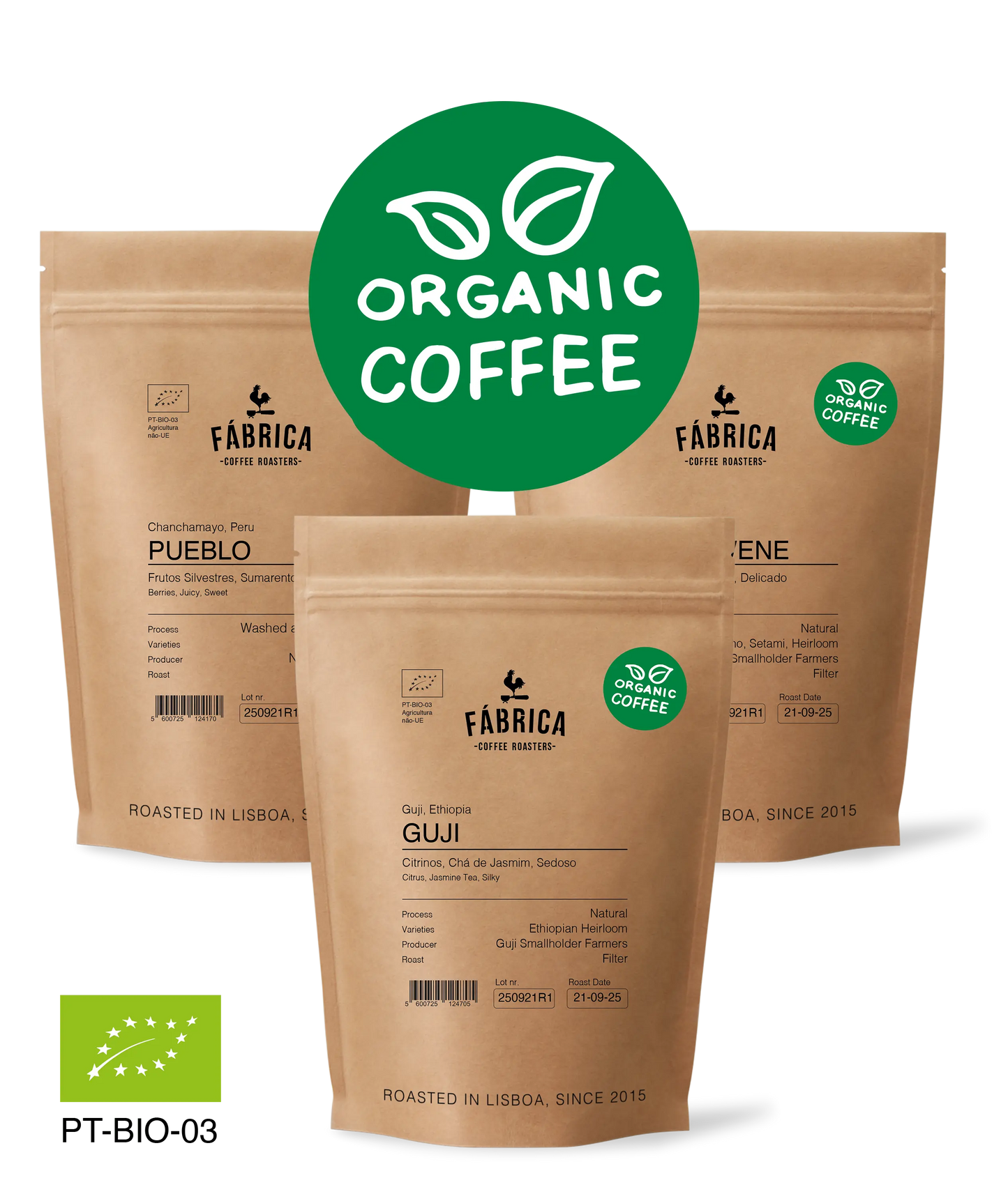 Organic Filter Coffee Bundle