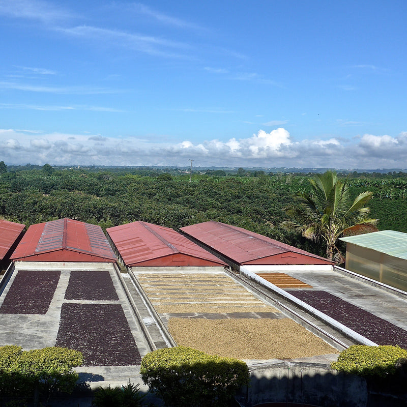 Popayan reserve scaled