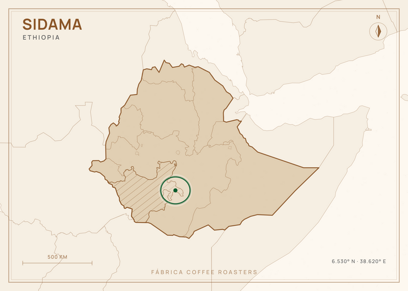 Map of Ethiopia, with Sidama marked — where this coffee grows